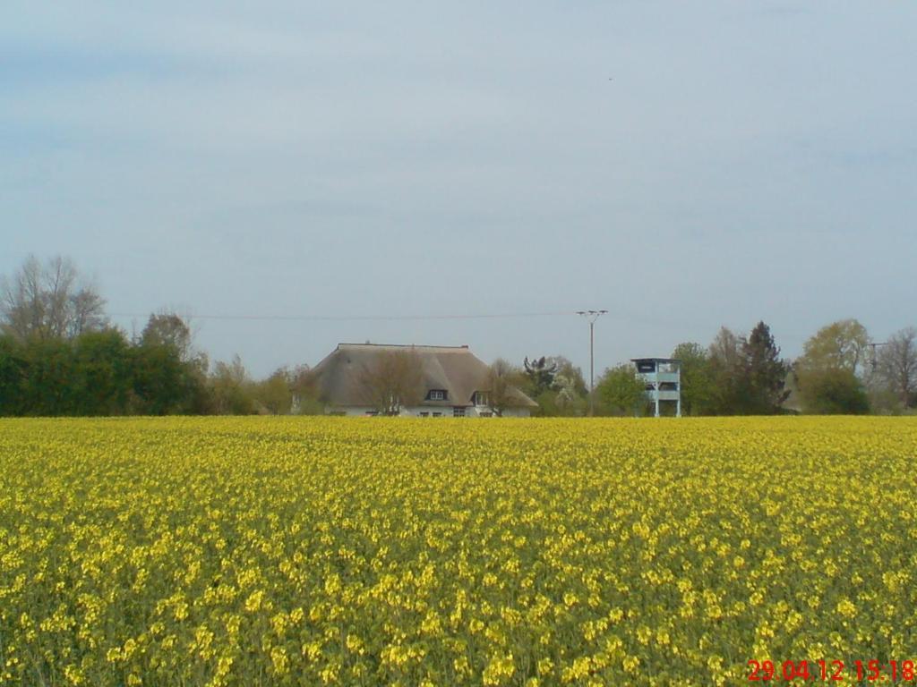 Landhotel Teichwiesenhof, Bed&Breakfast Oldenburg in Holstein Exterior foto